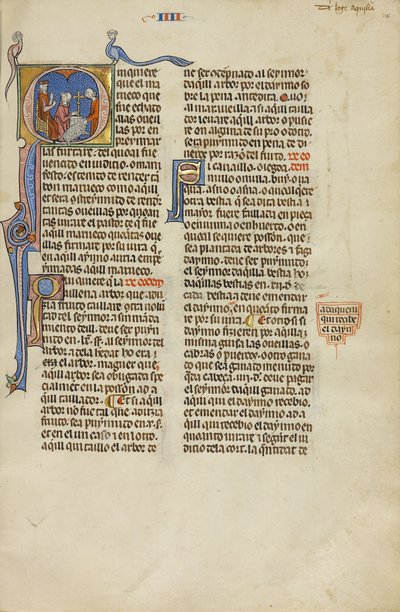 Initial Q- A Judge Pointing to Two Men with a Ram by Unbekannt Unbekannt